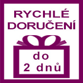 ikona rychlé doručení